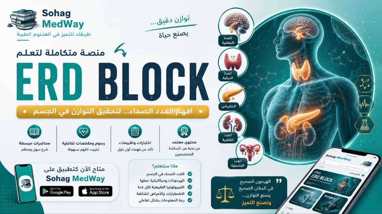 ERD block