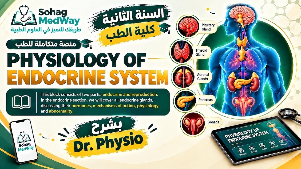 Physiology of Endocrine System